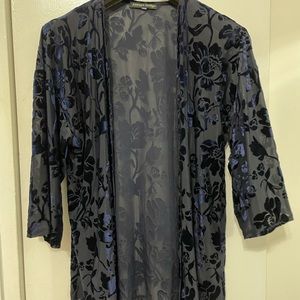 Blue velvet coverup